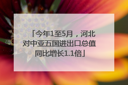 今年1至5月，河北对中亚五国进出口总值同比增长1.1倍