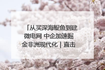 从买深海鳀鱼到建微电网 中企加速掘金非洲现代化｜直击中非经贸博览会