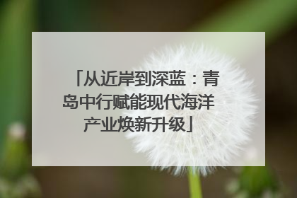 从近岸到深蓝：青岛中行赋能现代海洋产业焕新升级