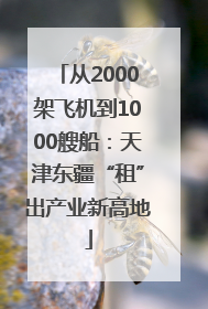 从2000架飞机到1000艘船：天津东疆“租”出产业新高地
