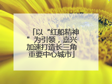 以“红船精神”为引领，嘉兴加速打造长三角重要中心城市