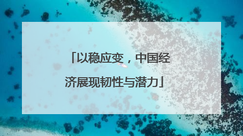 以稳应变，中国经济展现韧性与潜力