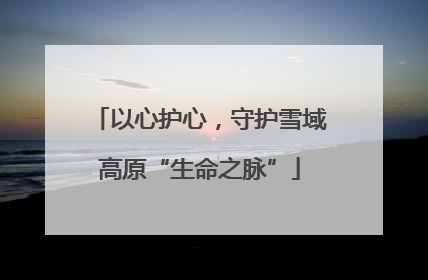 以心护心，守护雪域高原“生命之脉”
