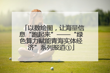 以数绘图，让海量信息“跑起来”——“绿色算力赋能青海实体经济”系列报道①