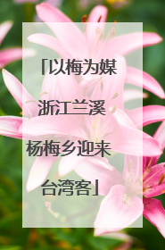 以梅为媒 浙江兰溪杨梅乡迎来台湾客