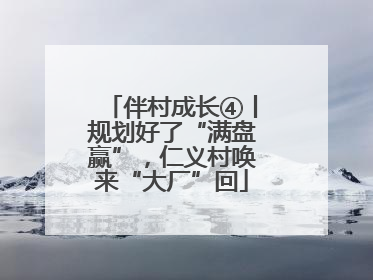 伴村成长④丨规划好了“满盘赢”，仁义村唤来“大厂”回