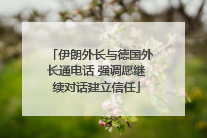 伊朗外长与德国外长通电话 强调愿继续对话建立信任