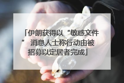 伊朗获得以“敏感文件” 消息人士称行动由被招募以定居者完成