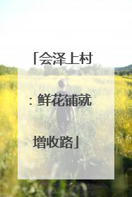 会泽上村：鲜花铺就增收路