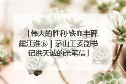 伟大的胜利·铁血丰碑耀江淮⑥｜茅山工委副书记洪天诚的亲笔信