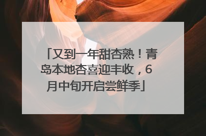 又到一年甜杏熟！青岛本地杏喜迎丰收，6月中旬开启尝鲜季
