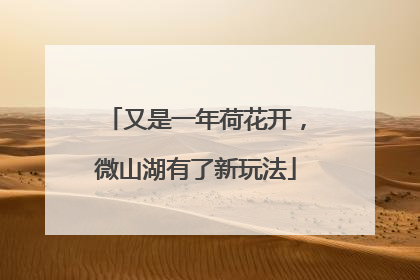 又是一年荷花开，微山湖有了新玩法