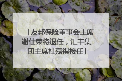 友邦保险董事会主席谢仕荣将退任，汇丰集团主席杜嘉祺接任