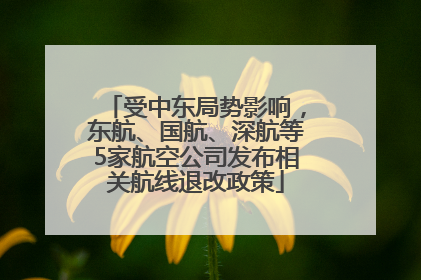 受中东局势影响，东航、国航、深航等5家航空公司发布相关航线退改政策