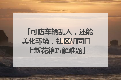 可防车辆乱入，还能美化环境，社区胡同口上新花箱巧解难题