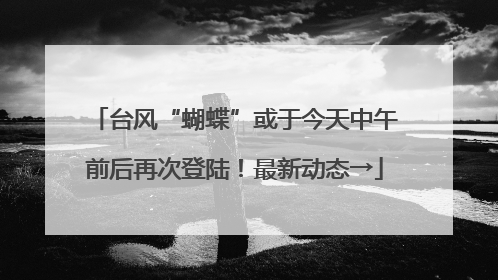 台风“蝴蝶”或于今天中午前后再次登陆！最新动态→