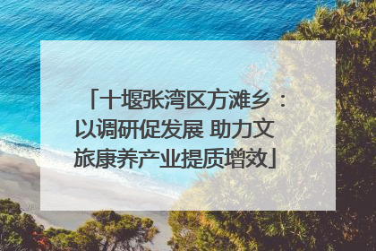 十堰张湾区方滩乡：以调研促发展 助力文旅康养产业提质增效