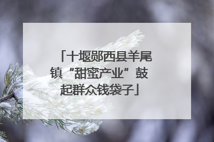 十堰郧西县羊尾镇“甜蜜产业”鼓起群众钱袋子