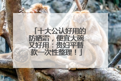 十大公认好用的防晒霜，便宜大碗又好用：贵妇平替款一次性整理！