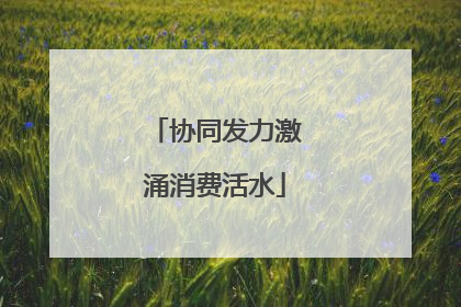 协同发力激涌消费活水