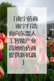 南宁侨商：南宁打造面向东盟人工智能产业高地给侨商提供新机遇