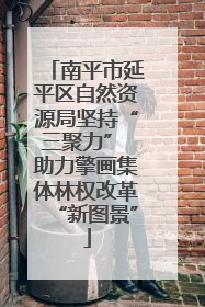 南平市延平区自然资源局坚持“三聚力” 助力擎画集体林权改革“新图景”