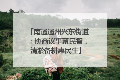 南通通州兴东街道：协商议事聚民智，清淤备耕惠民生