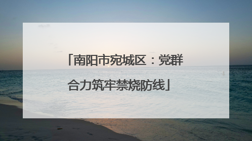 南阳市宛城区：党群合力筑牢禁烧防线