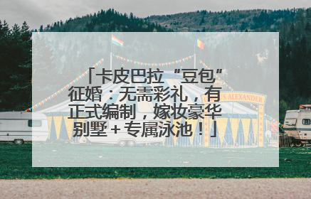 卡皮巴拉“豆包”征婚：无需彩礼，有正式编制，嫁妆豪华别墅＋专属泳池！