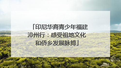 印尼华裔青少年福建漳州行：感受祖地文化和侨乡发展脉搏