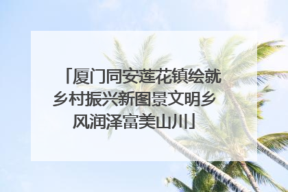 厦门同安莲花镇绘就乡村振兴新图景文明乡风润泽富美山川