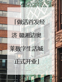 做活首发经济 赣湘边奥莱数字生活城正式开业