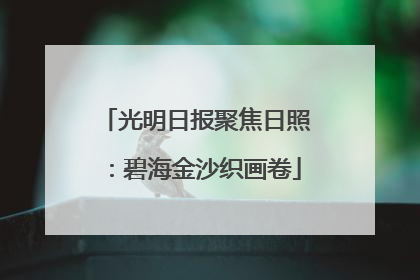 光明日报聚焦日照：碧海金沙织画卷