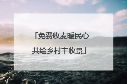 免费收麦暖民心 共绘乡村丰收景