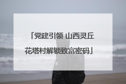 党建引领 山西灵丘花塔村解锁致富密码