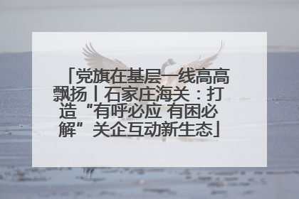 党旗在基层一线高高飘扬丨石家庄海关：打造“有呼必应 有困必解”关企互动新生态
