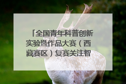 全国青年科普创新实验暨作品大赛（西藏赛区）复赛关注智慧环保等主题