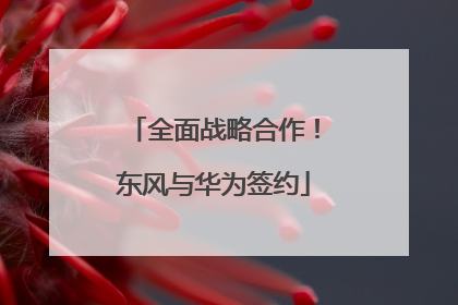 全面战略合作！东风与华为签约