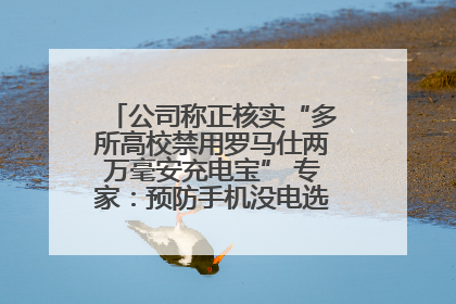 公司称正核实“多所高校禁用罗马仕两万毫安充电宝” 专家：预防手机没电选中等体积产品即可