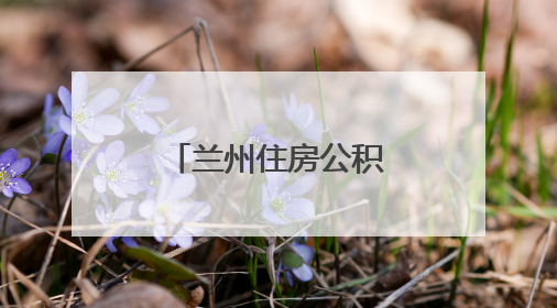 兰州住房公积金管理中心阶段性调整公积金提取、贷款政策