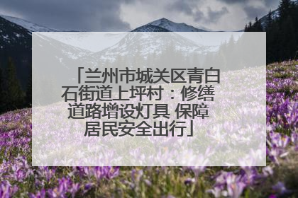 兰州市城关区青白石街道上坪村：修缮道路增设灯具 保障居民安全出行