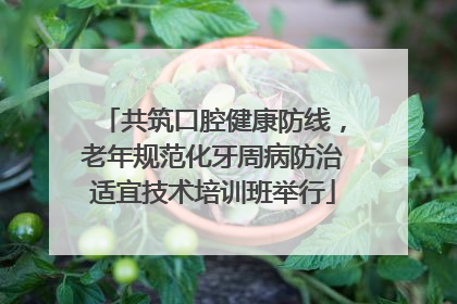 共筑口腔健康防线，老年规范化牙周病防治适宜技术培训班举行