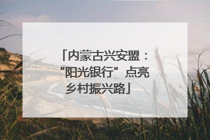 内蒙古兴安盟：“阳光银行”点亮乡村振兴路