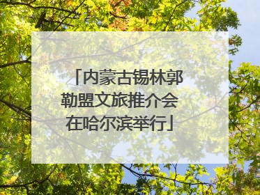 内蒙古锡林郭勒盟文旅推介会在哈尔滨举行