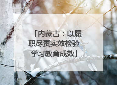 内蒙古：以履职尽责实效检验学习教育成效
