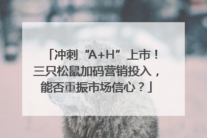 冲刺“A+H”上市！三只松鼠加码营销投入，能否重振市场信心？