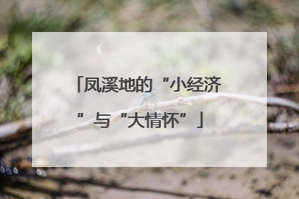 凤溪地的“小经济”与“大情怀”