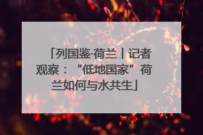列国鉴·荷兰丨记者观察：“低地国家”荷兰如何与水共生