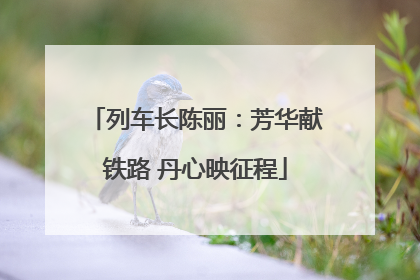 列车长陈丽：芳华献铁路 丹心映征程