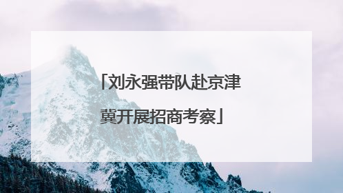 刘永强带队赴京津冀开展招商考察